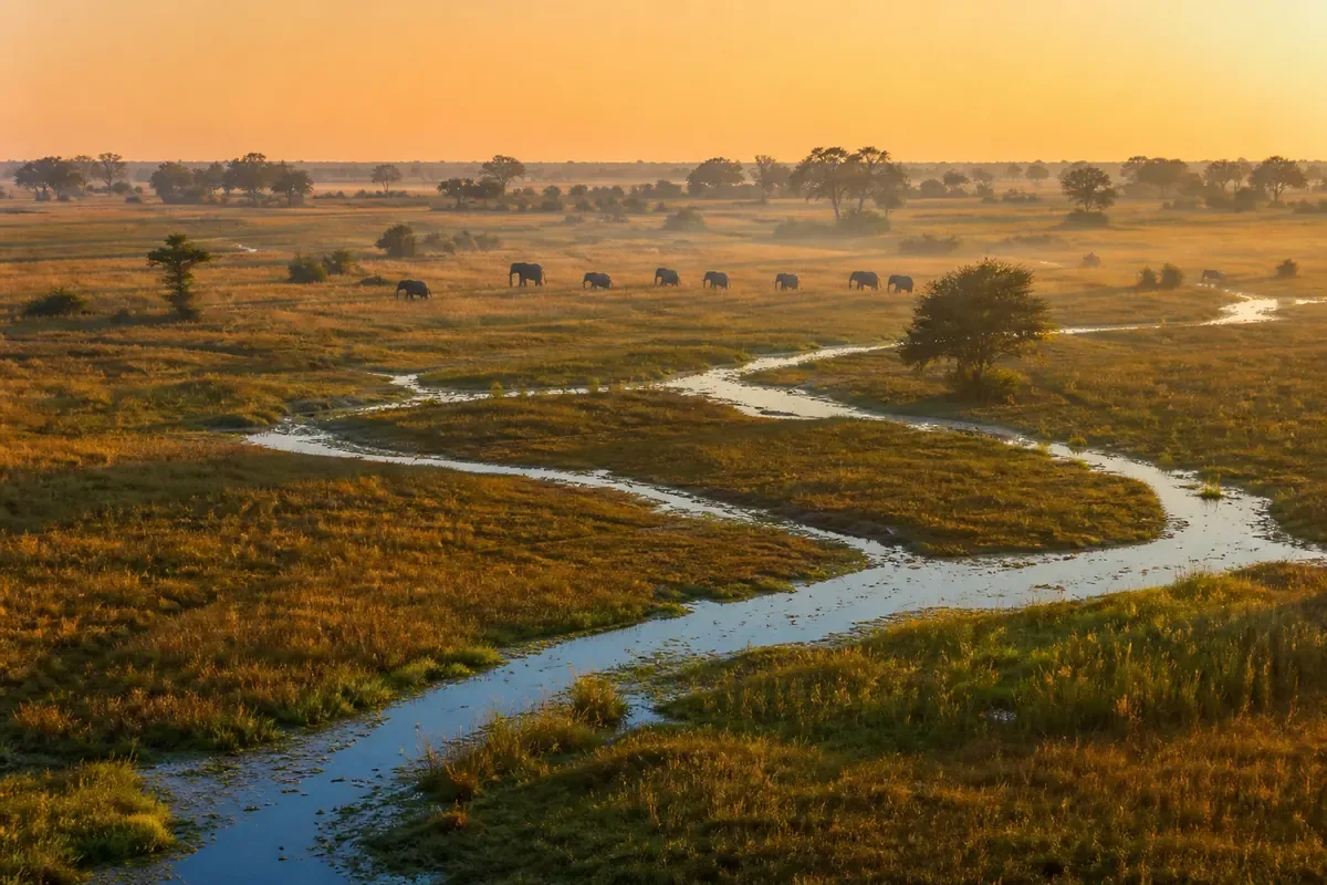 Chenal et savane inondée dans le delta de l’Okavango