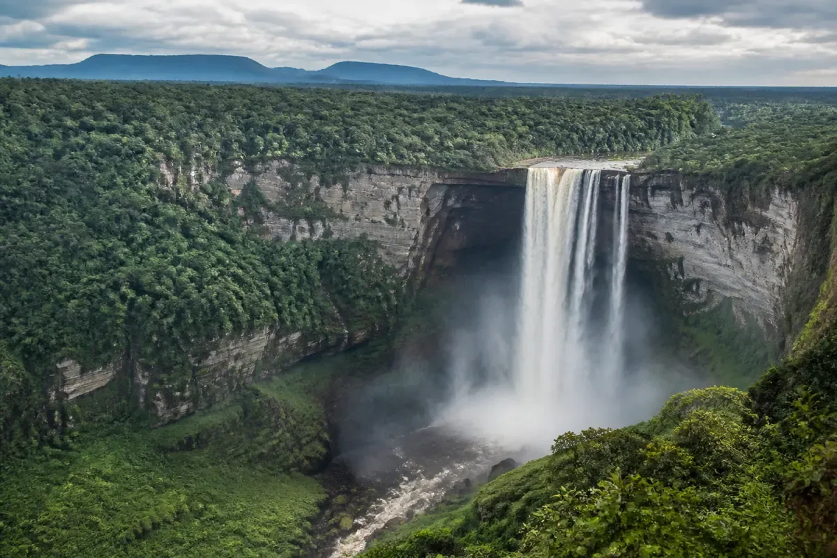 Chutes de Kaieteur au cœur de la forêt du Guyana
