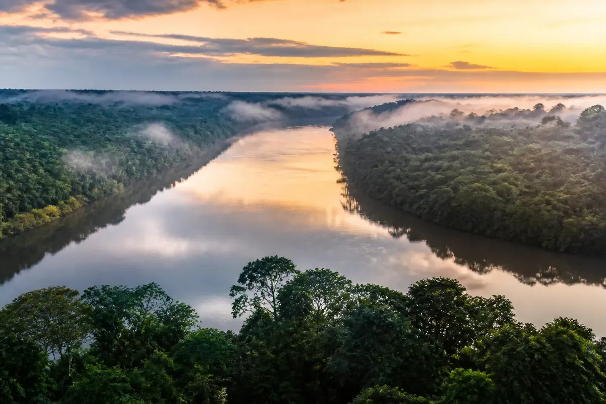 Fleuve Maroni au milieu de la forêt amazonienne