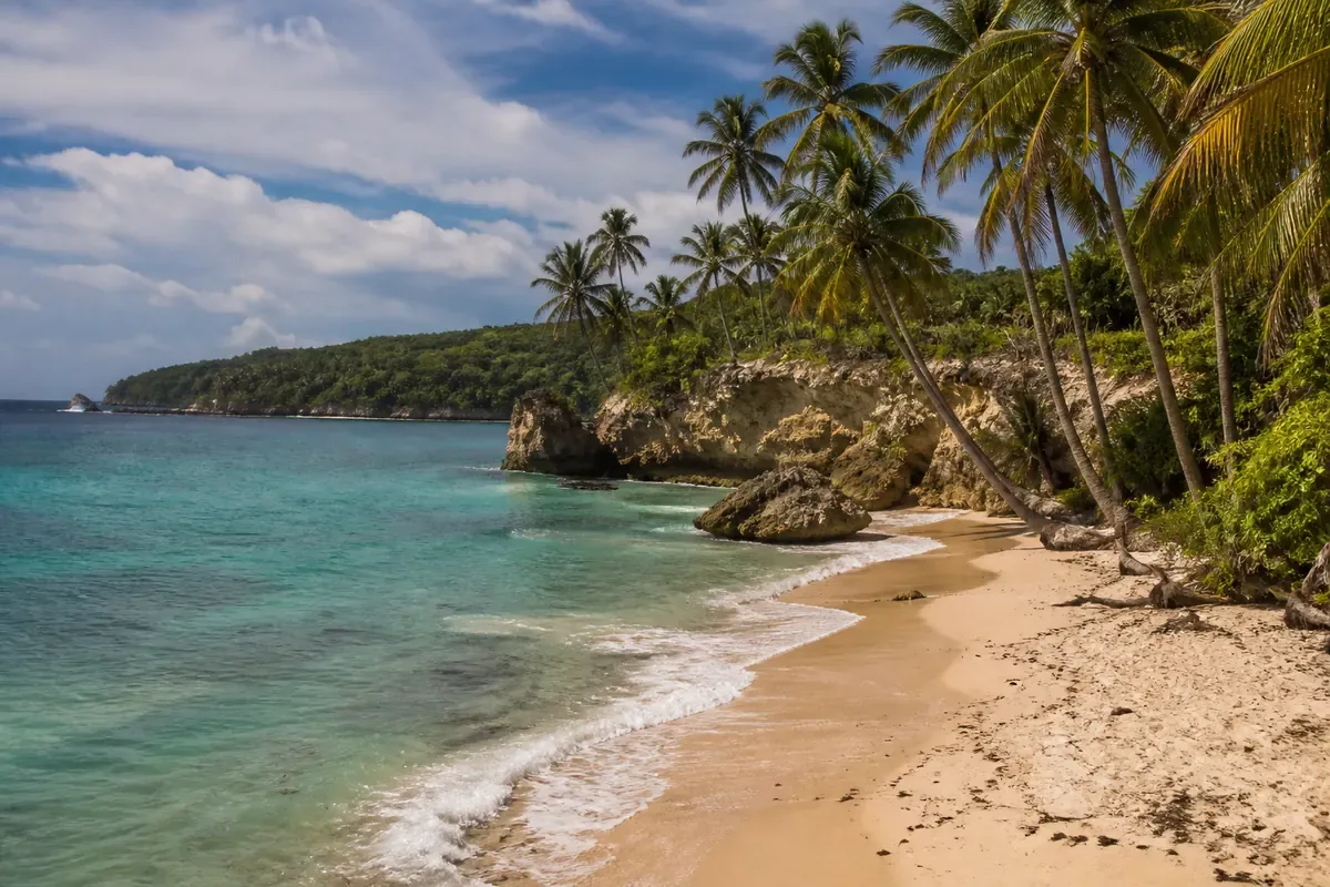 Plage bordée de palmiers et mer turquoise en République dominicaine