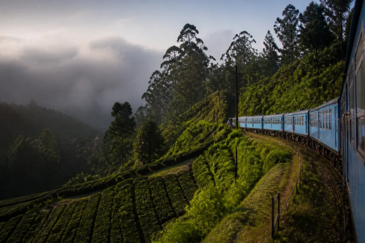 Train traversant des plantations verdoyantes au Sri Lanka