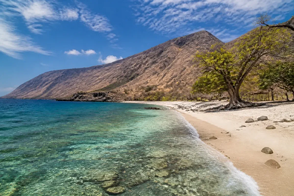 Plage tropicale et montagnes de l’île d’Atauro au Timor oriental