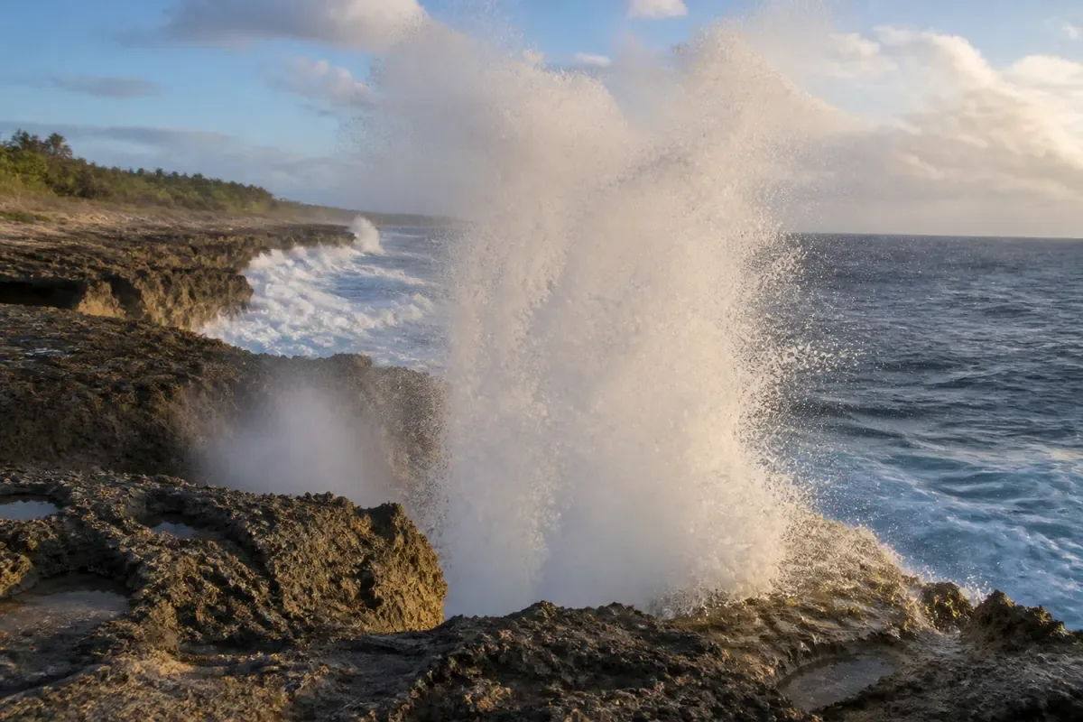 Souffleurs marins et côte corallienne de Tongatapu