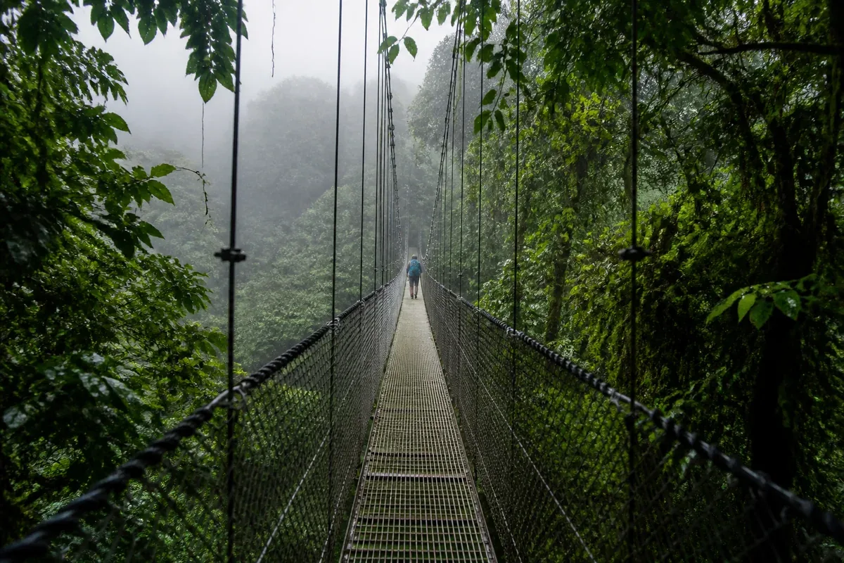 Pont suspendu dans la forêt tropicale du Costa Rica