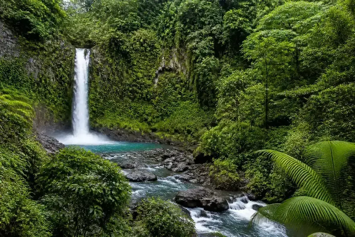 Cascade et végétation luxuriante au Costa Rica